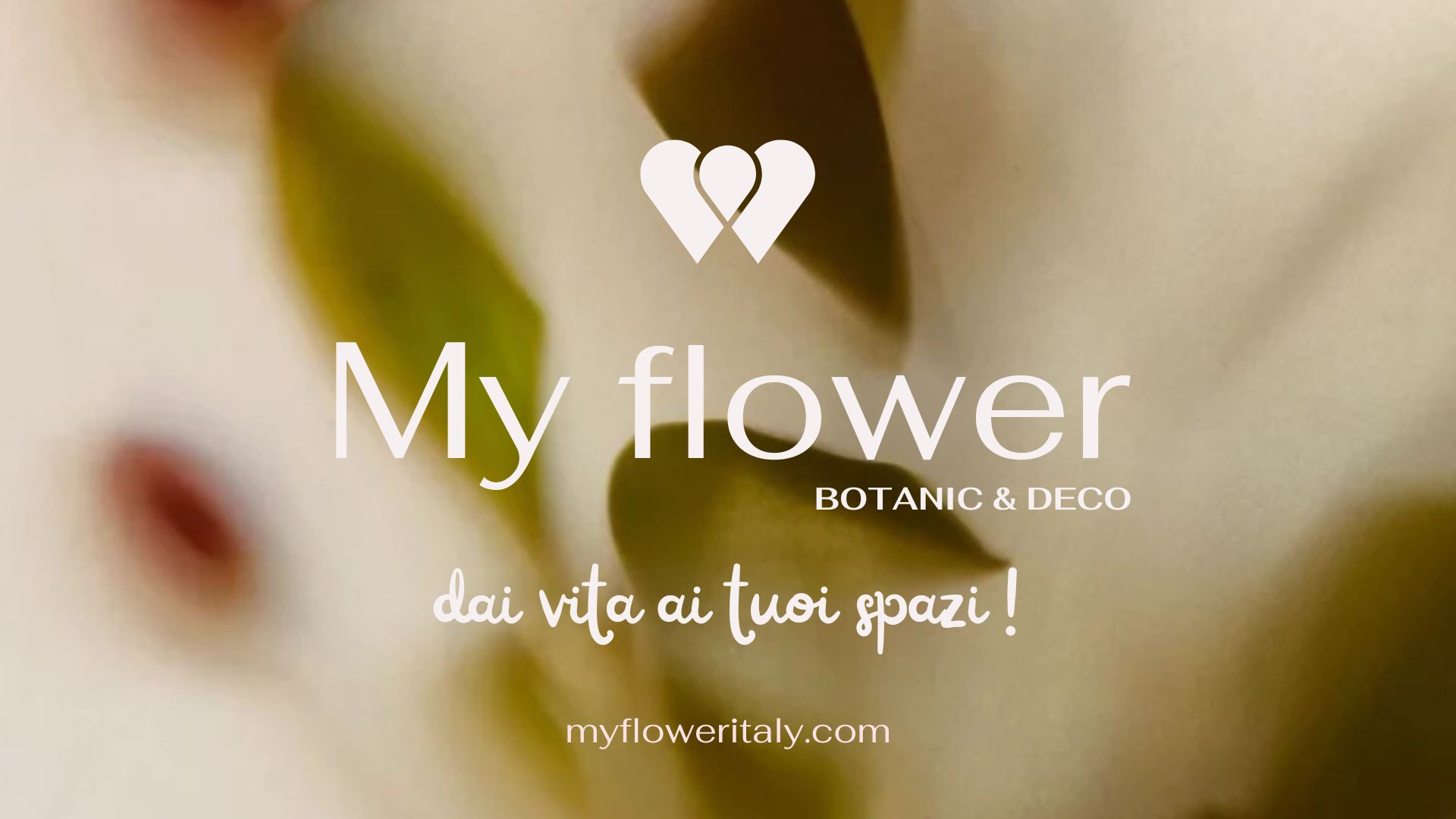 Benvenuto in My Flower: dai vita ai tuoi spazi, un dettaglio alla volta.