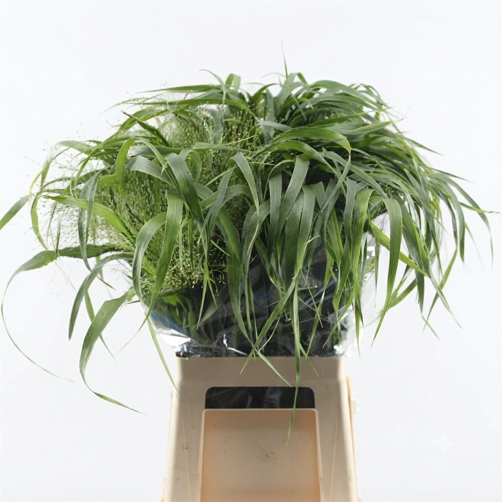 Piante fresche
