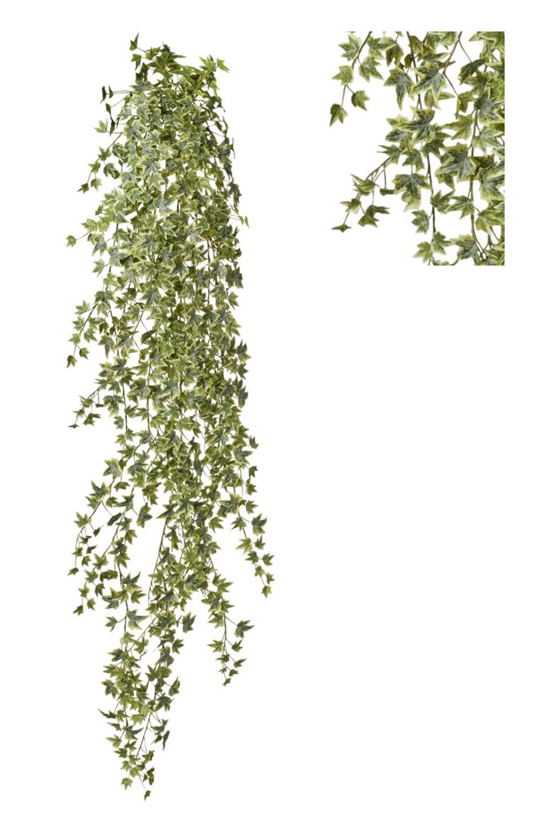 Art. Cadente Edera Cm145 - Frost Variegated