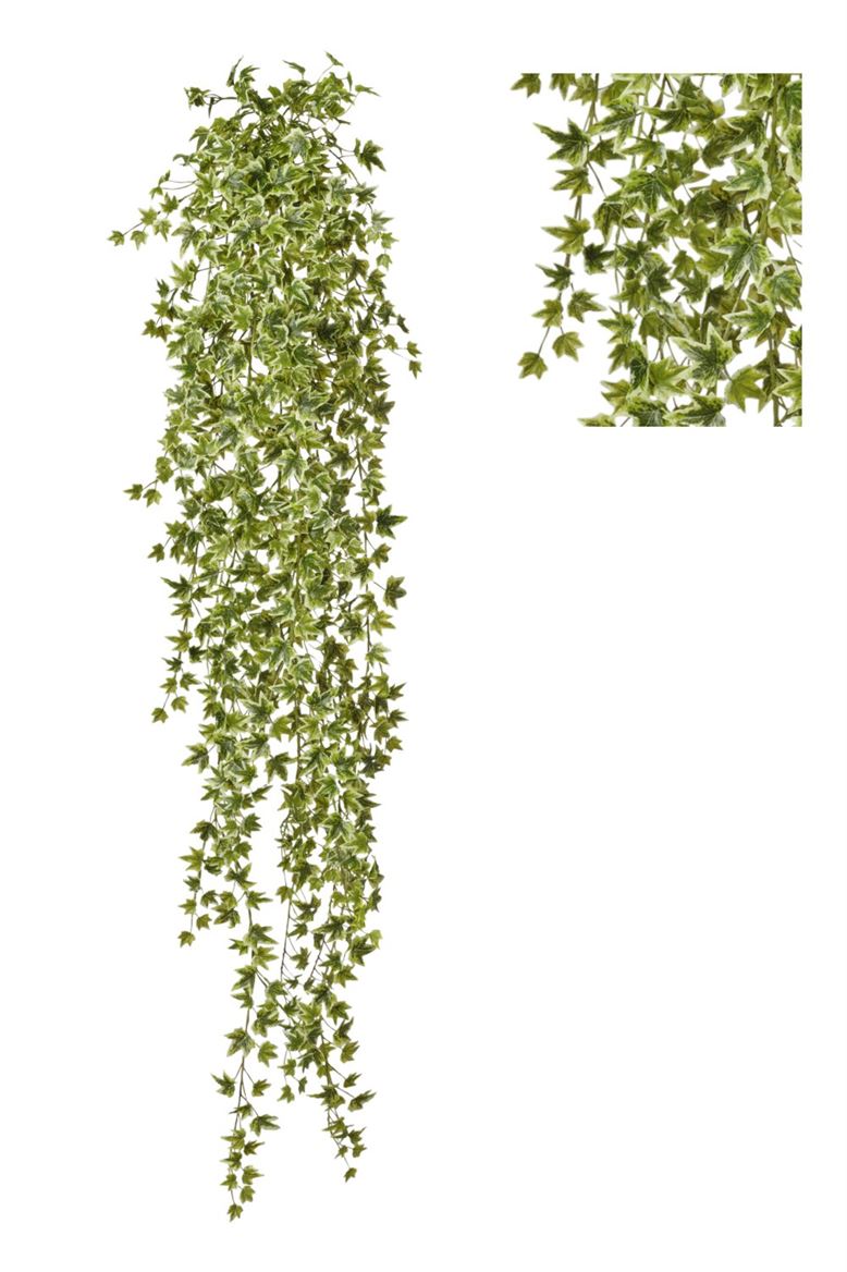 Art. Cadente Edera Cm145 - Variegated