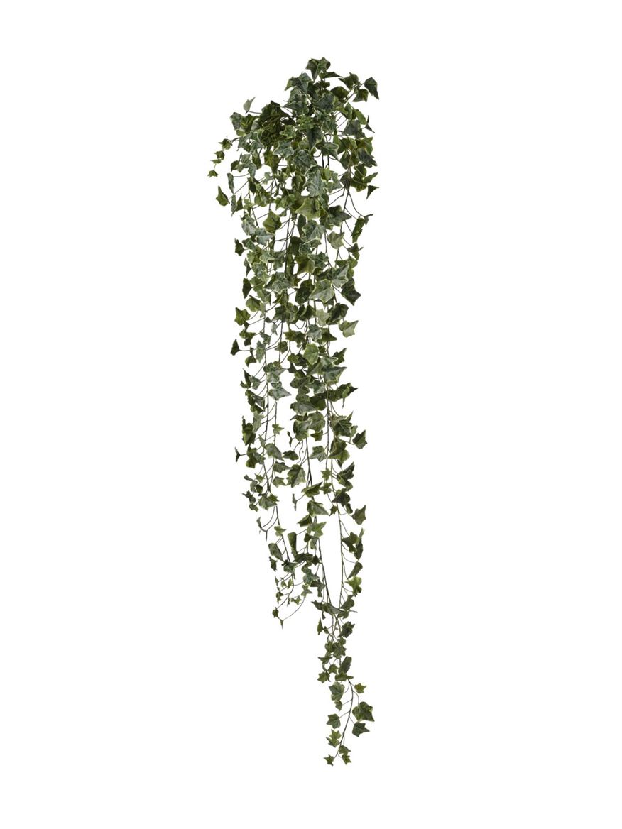 Art. Cadente Edera L180cm Frosted Gr.