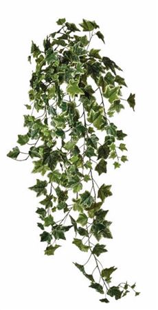 Art. Cadente Foglie Cm90 Ivy Variegated