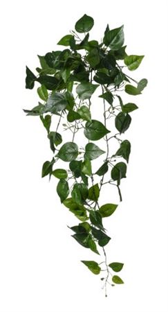 Art. Cadente Foglie Cm90 Pothos Green