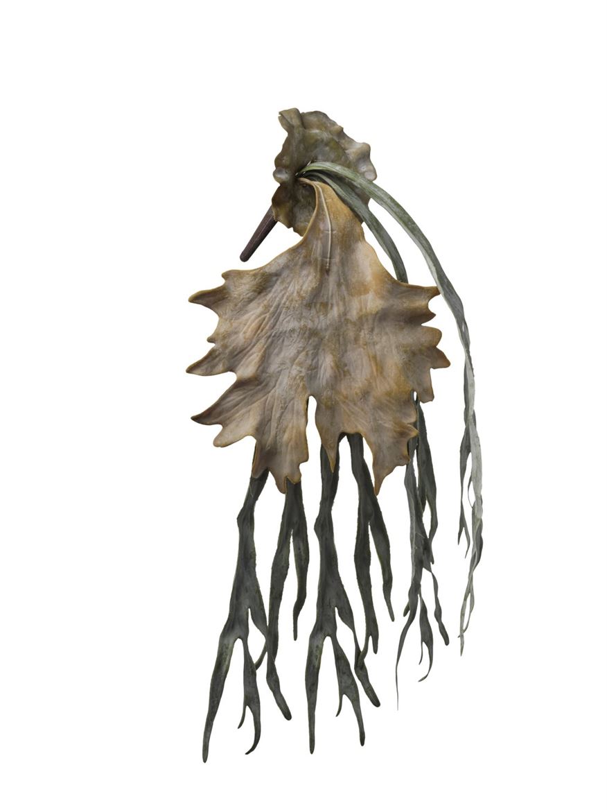 Art. Cadente Platicerium Cm29x76 - Coffee Green