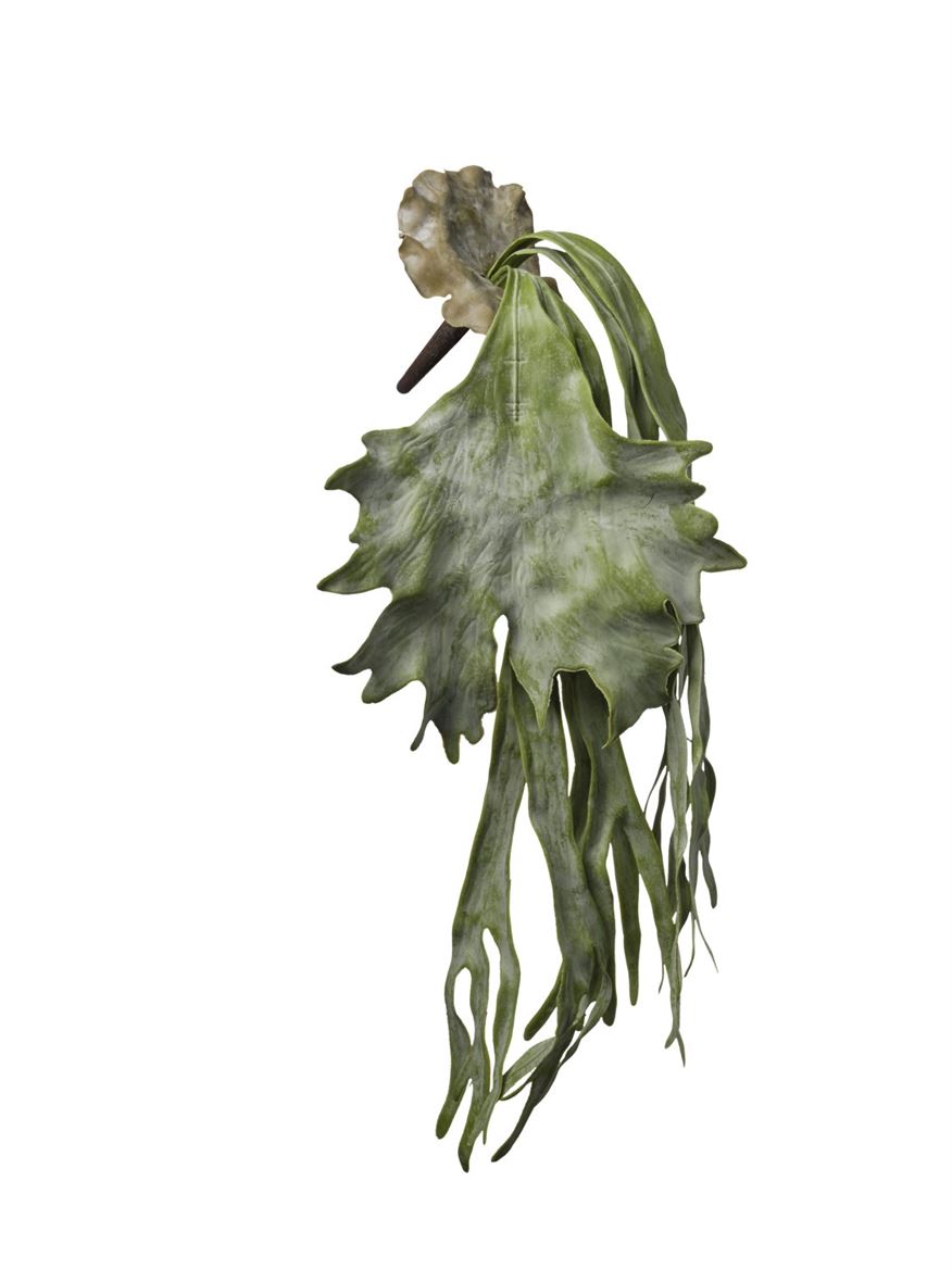 Art. Cadente Platicerium Cm29x76 - Green