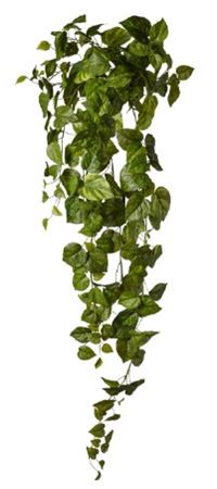 Art. Cadente Pothos C-159 Foglie Cm90 Variegated