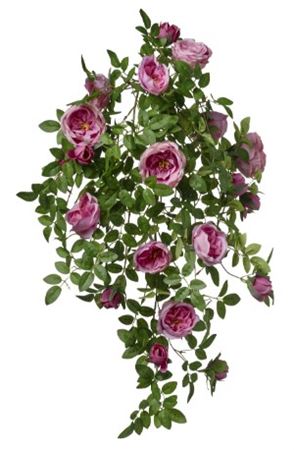 Art. Cadente Rose Cm50x58 Pink
