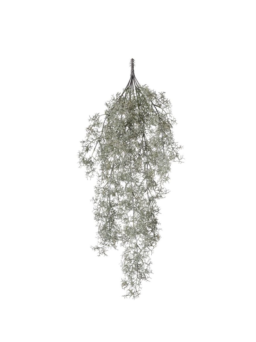 Art. Cadente Tillandsia 70cm - Brown