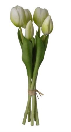 Art. Mazzo Tulipano X5 Cm12x12x28 Cream