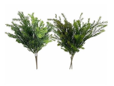 Art. Mazzo V Asparagus Bush 60cm - Grey Green