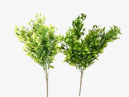 Art. Mazzo V Boxwood Bush X10 60cm - Green Mix