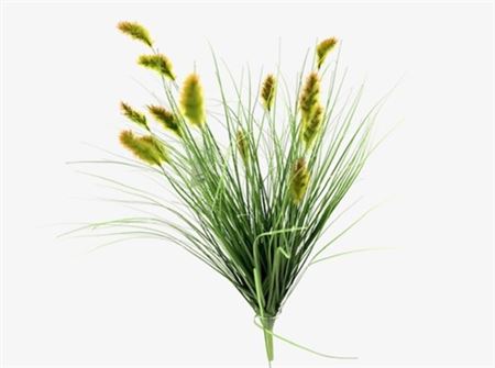 Art. Mazzo V Caterpillar/grass X13 60cm - Natural