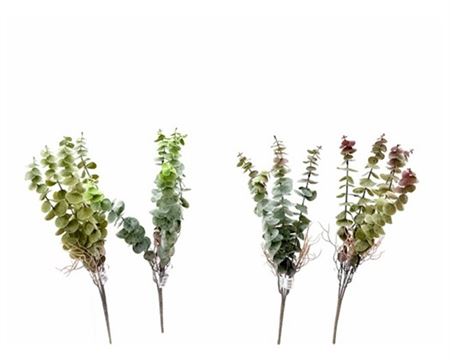 Art. Mazzo V Eucalyptus Bush W/root - Green Brown