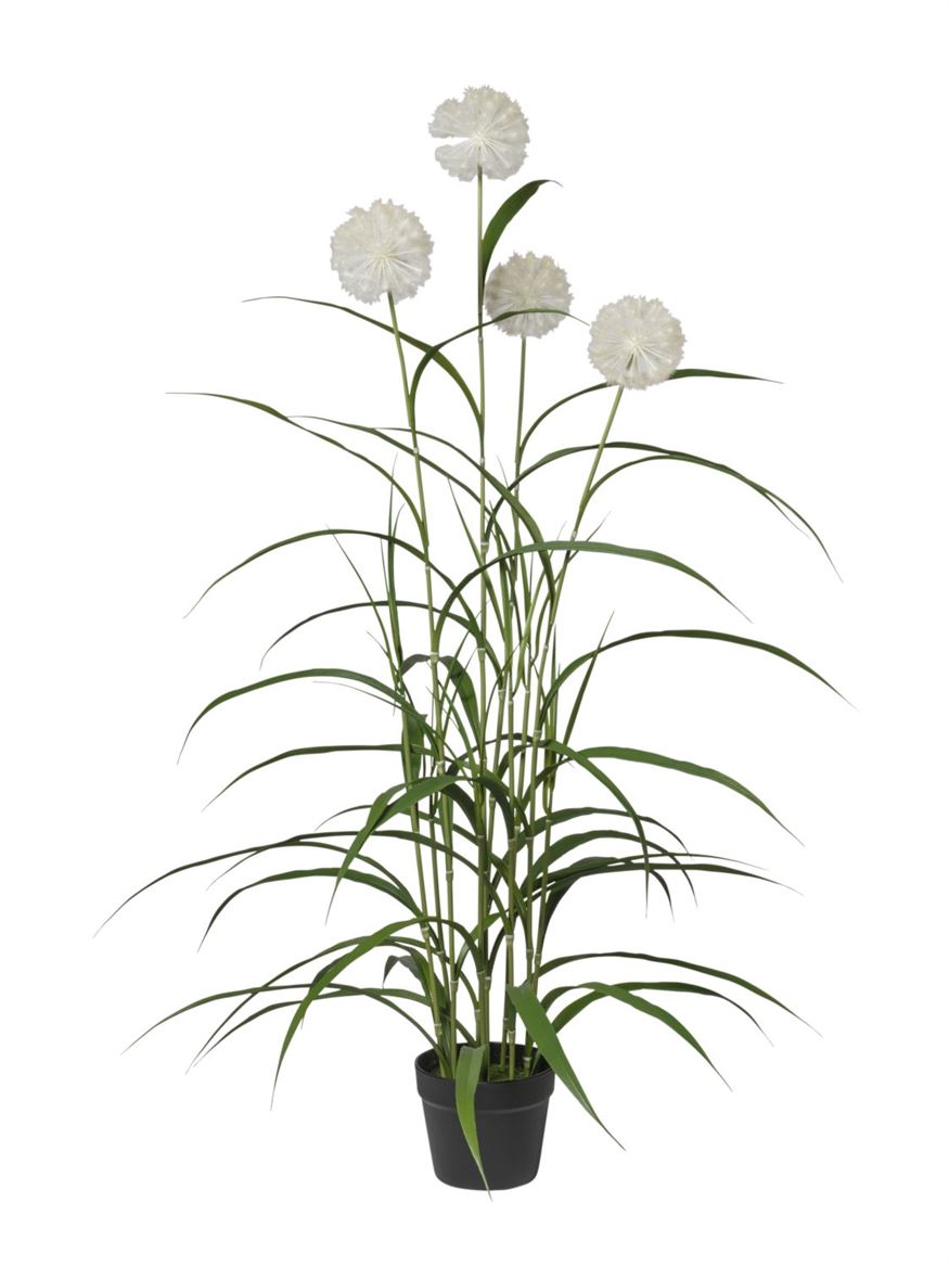 Art. Pianta Agapanthus X4 117cm - Cream