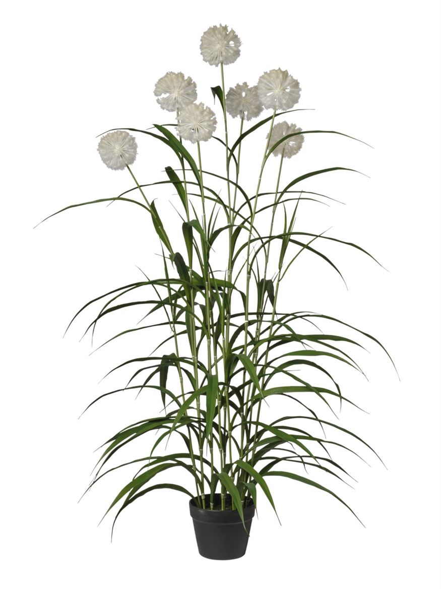 Art. Pianta Agapanthus X7 152cm - Cream