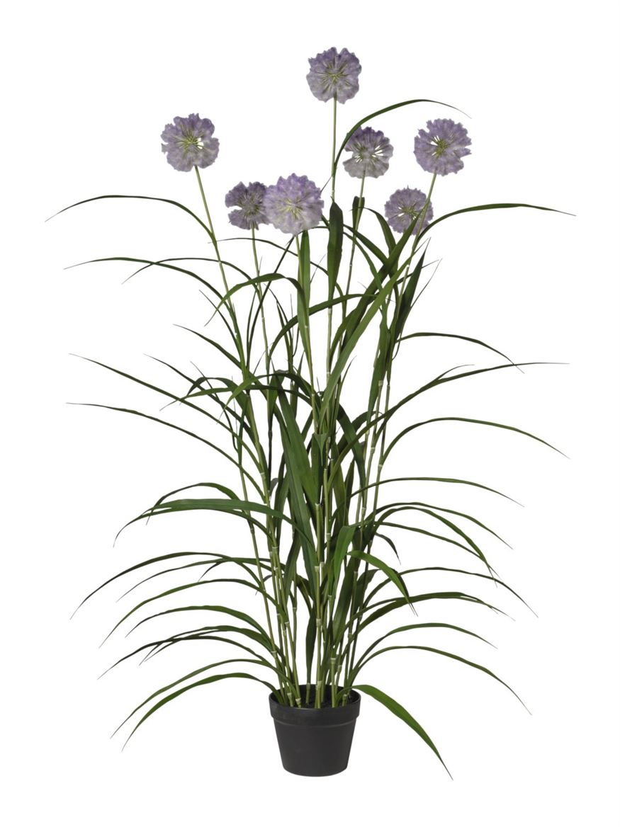 Art. Pianta Agapanthus X7 152cm - Purple