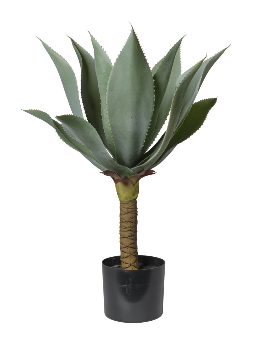 Art. Pianta Agave 60cm - Green