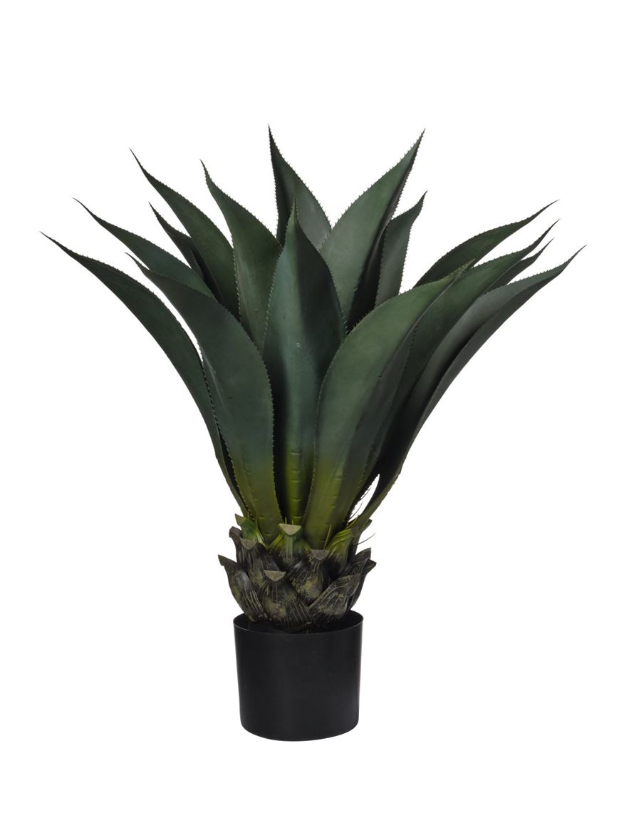 Art. Pianta Agave 80cm - 19 Foglie