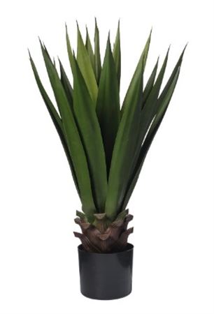 Art. Pianta Agave C-21 Foglie Cm73