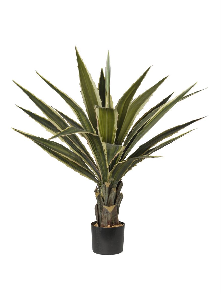 Art. Pianta Agave In Vaso 96,5cm Green Yell.