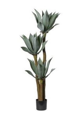 Art. Pianta Agave X3 In Vaso 150cm