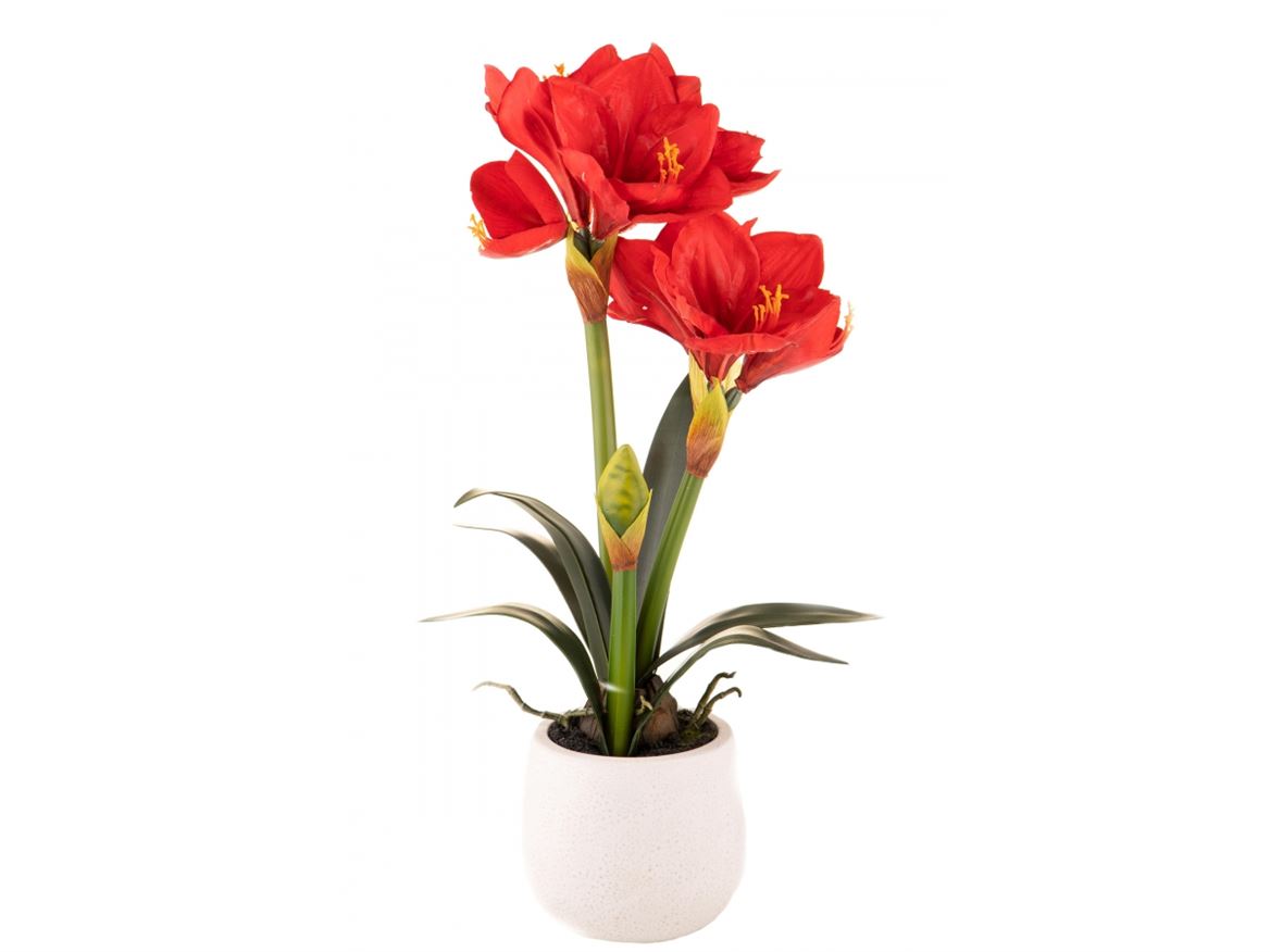 Art. Pianta Amaryllis Con Vaso H.64cm Red