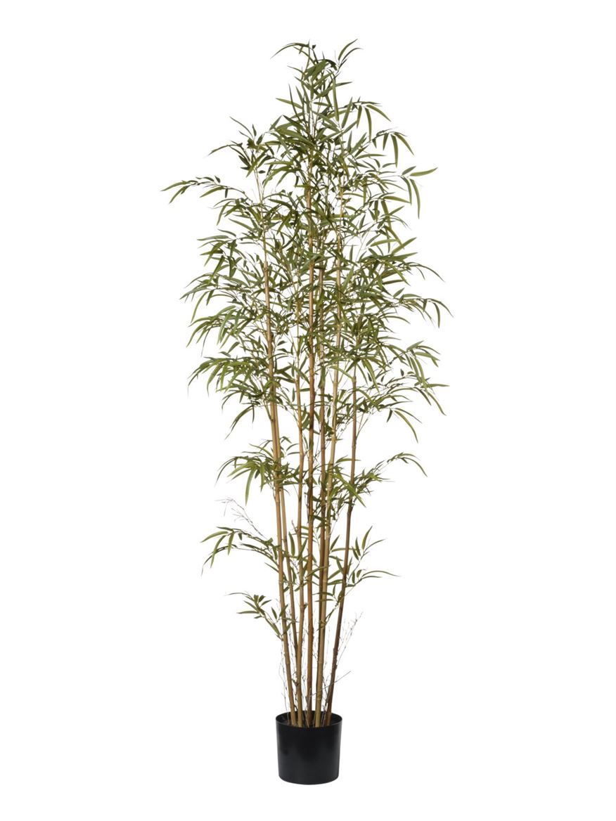 Art. Pianta Bamboo X7 Con Vaso 222cm - Green