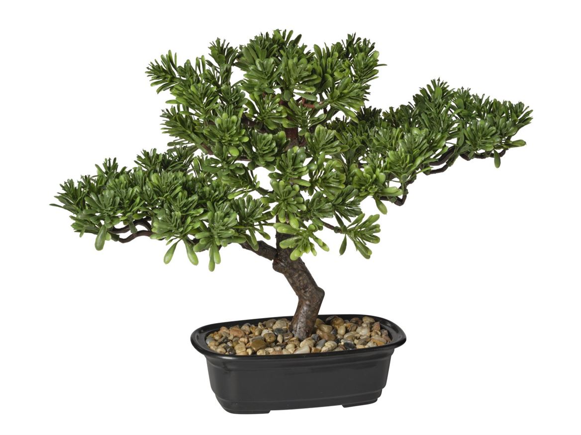 Art. Pianta Bonsai In Vaso 30cm - Green