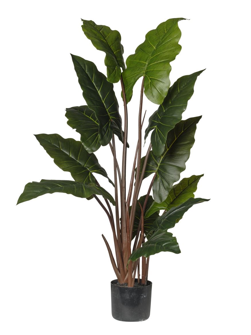 Art. Pianta Calocasia 140cm - 12 Foglie