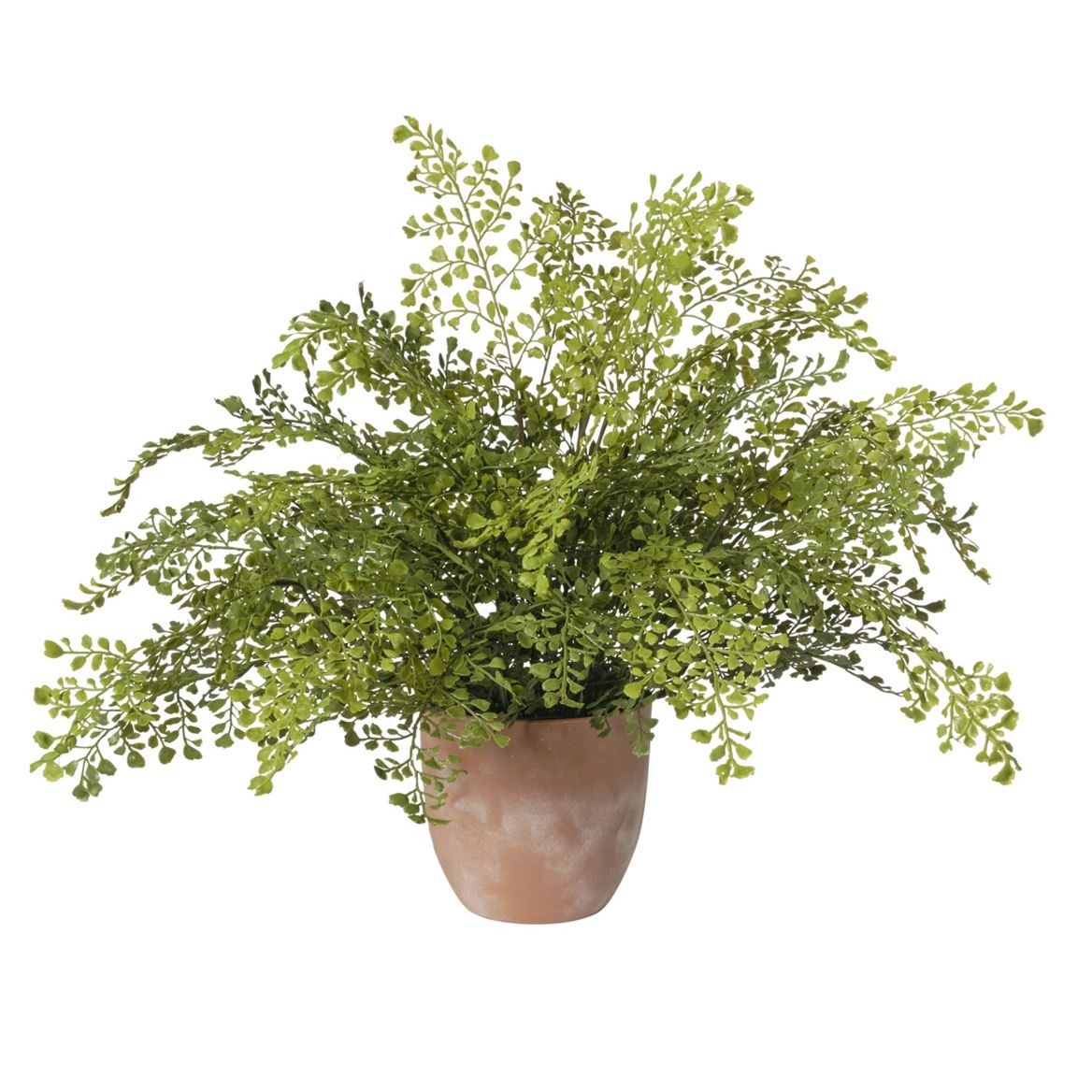 Art. Pianta Capelvenere In Vaso 80x80x58cm - Green