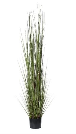 Art. Pianta Erba Cipollina 180cm In Vaso Green