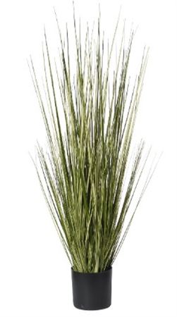 Art. Pianta Erba Cipollina Cm90 In Vaso Cream-yell