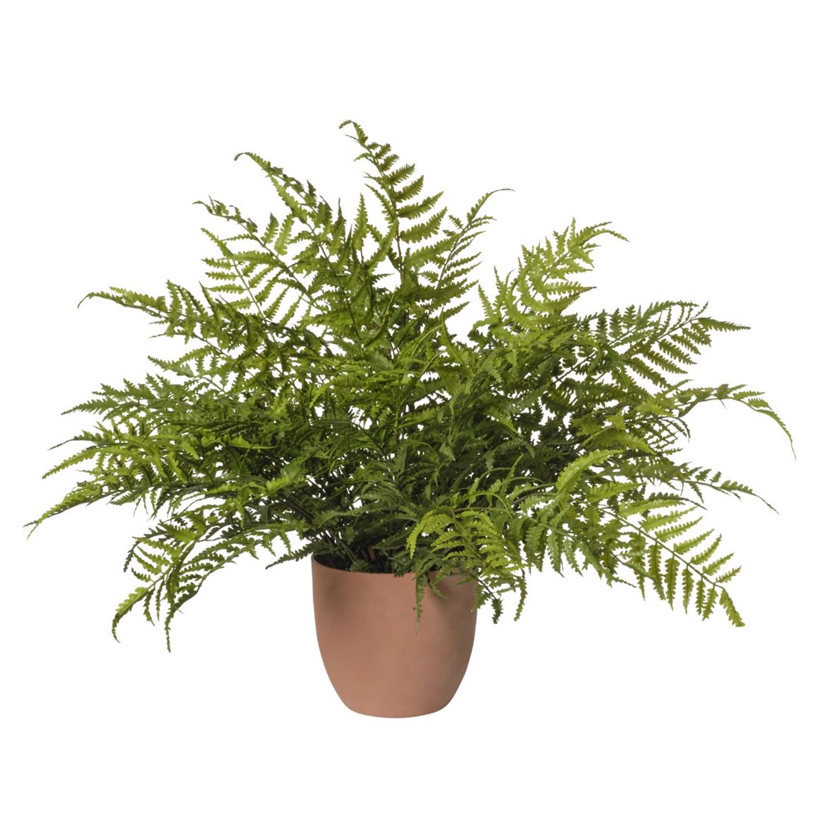Art. Pianta Felce In Vaso 85x85x58cm - Green