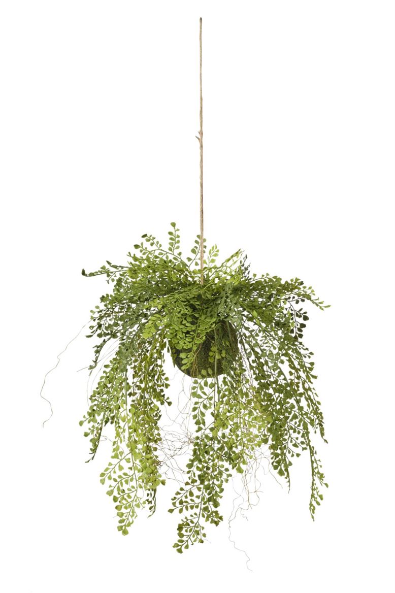 Art. Pianta Felce In Zolla 45x45x99cm - Green