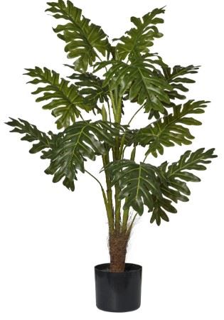 Art. Pianta Filodendro In Vaso H90cm