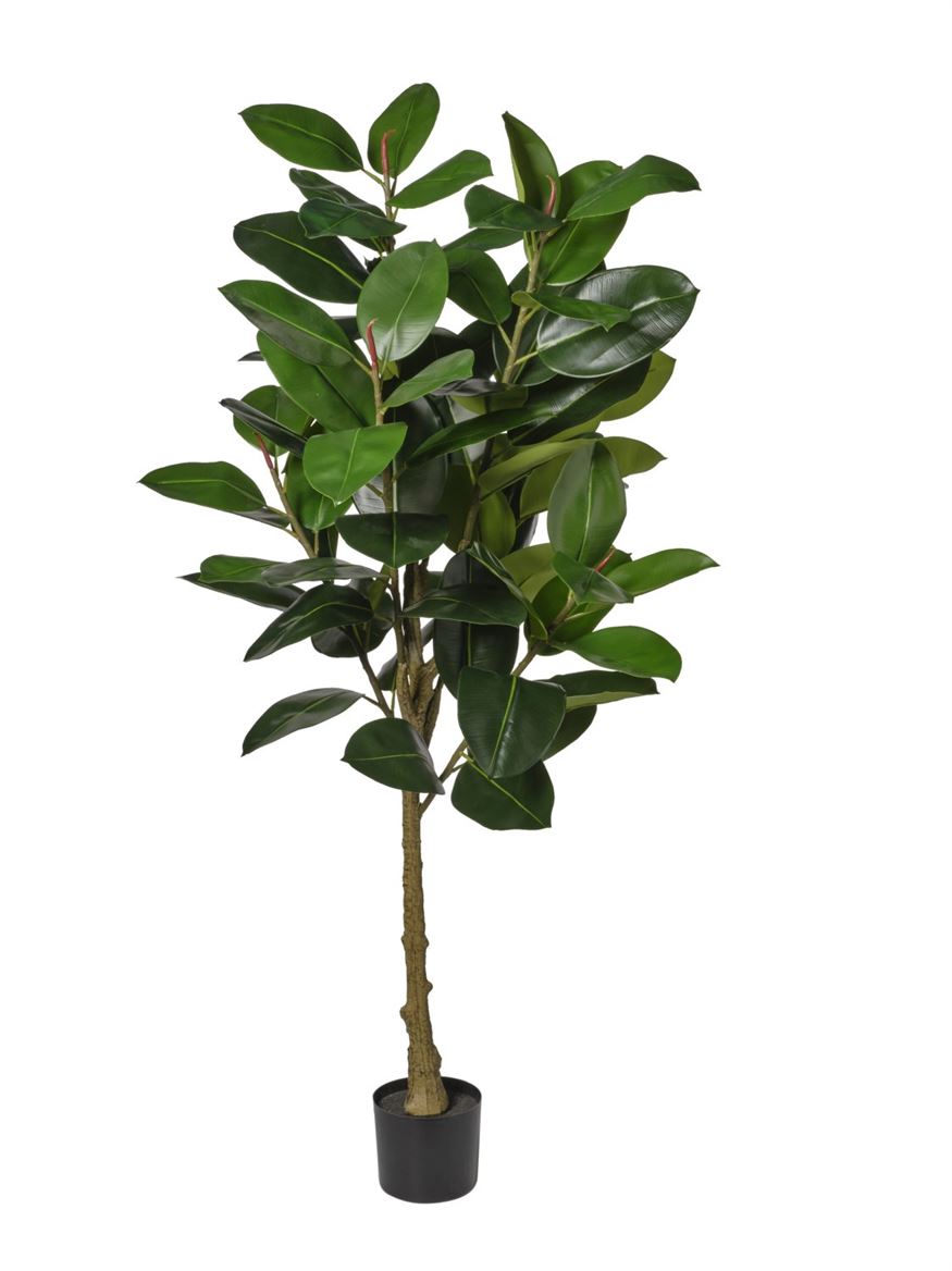 Art. Pianta Gomma Cm160 - Green