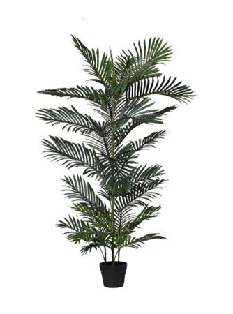 Art. Pianta Kenzia X4 C-vaso Cm140