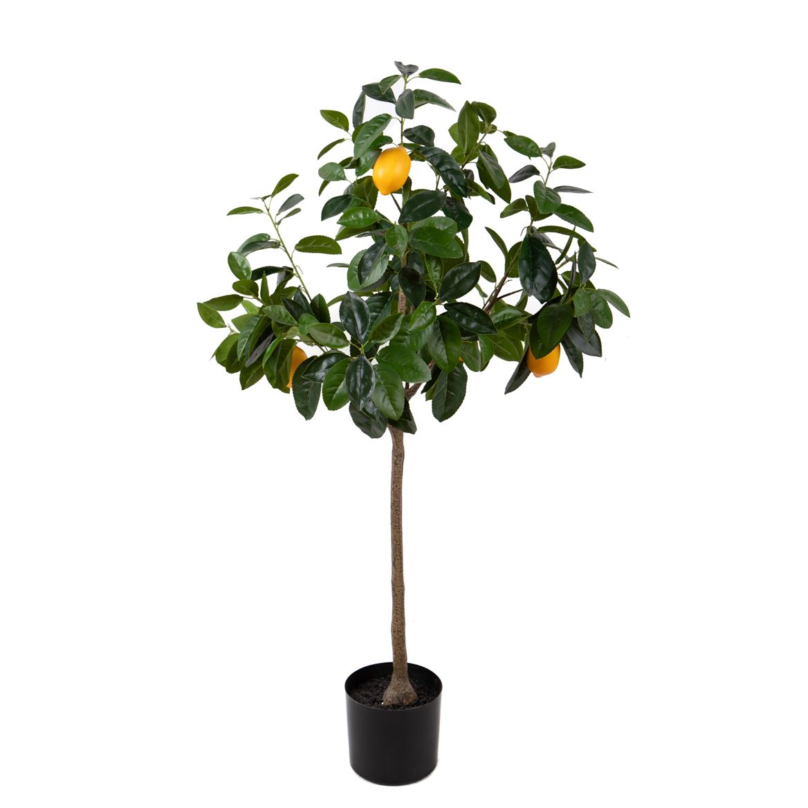 Art. Pianta Limone H.120cm Con Frutti