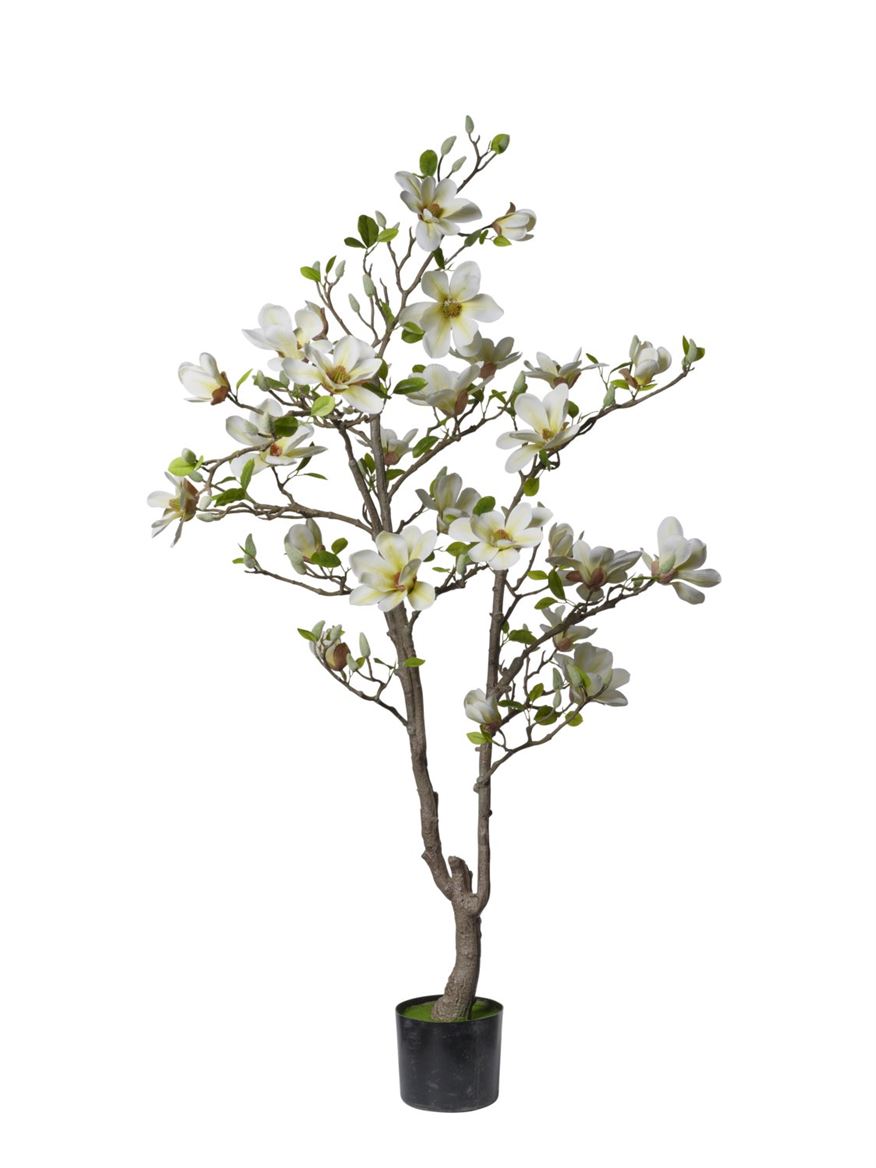 Art. Pianta Magnolia 150cm 27fiori Cream