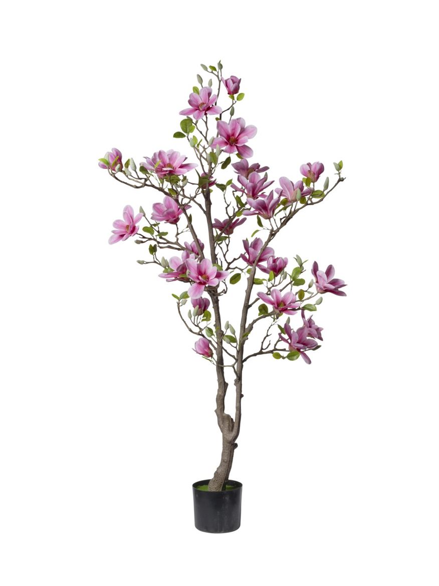 Art. Pianta Magnolia 150cm 27fiori Hot Pink