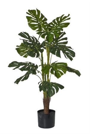 Art. Pianta Monstera X3 In Vaso H90cm