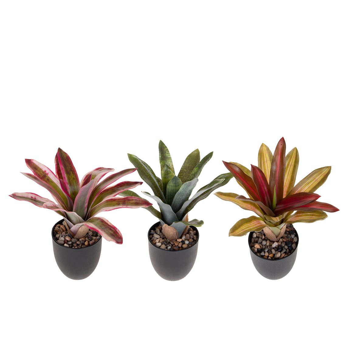 Art. Pianta Neoreglia In Vaso 28cm - 3mix Color