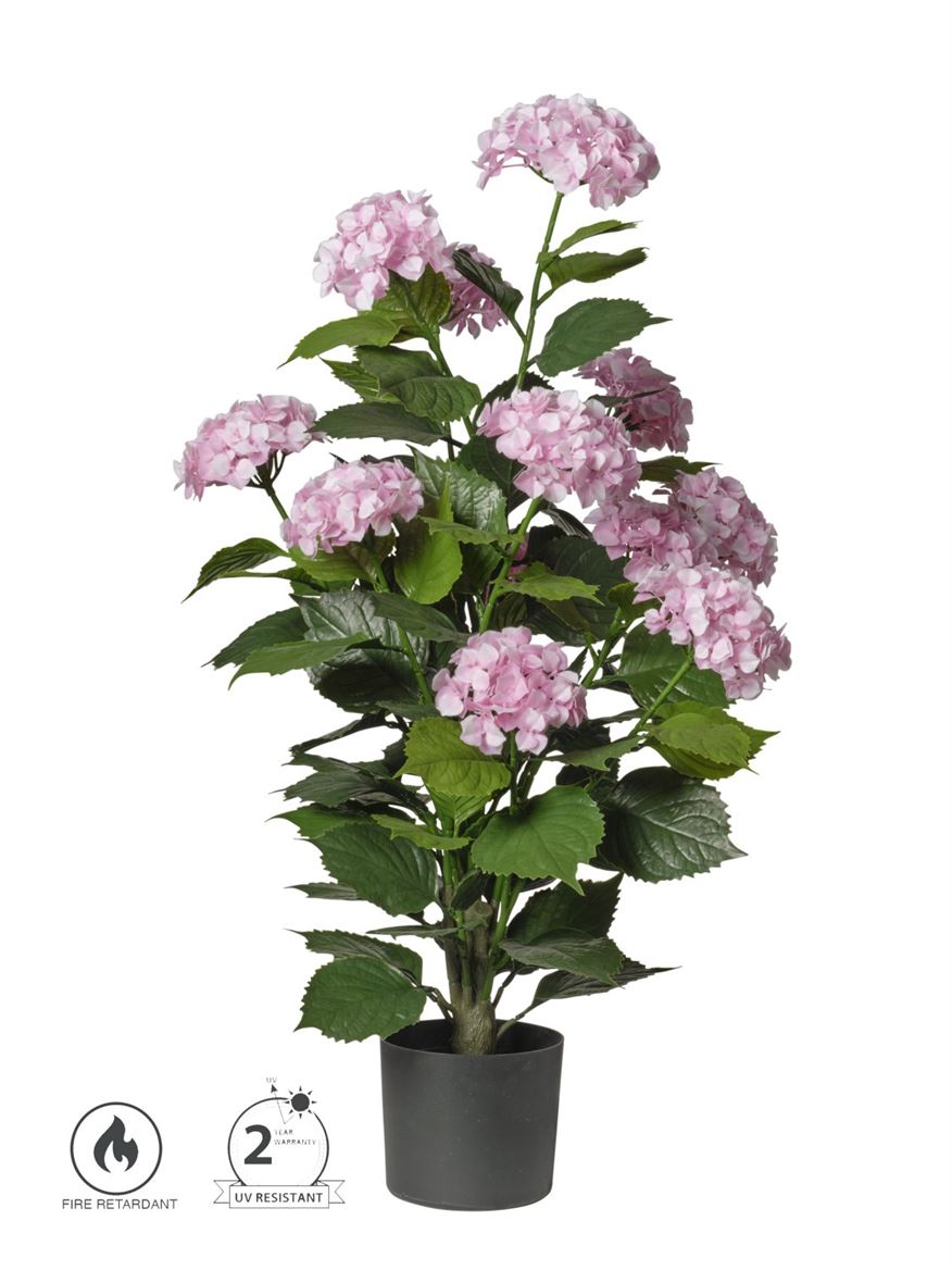 Art. Pianta Ortensie In Vaso 90cm - Pink