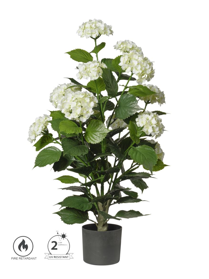 Art. Pianta Ortensie In Vaso 90cm - White