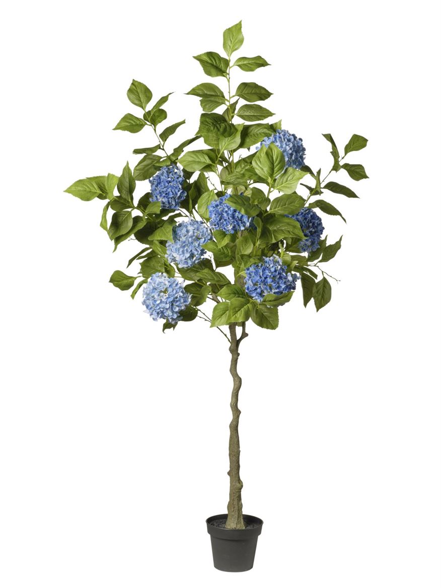 Art. Pianta Ortensie In Vaso Cm180 Dk.blue