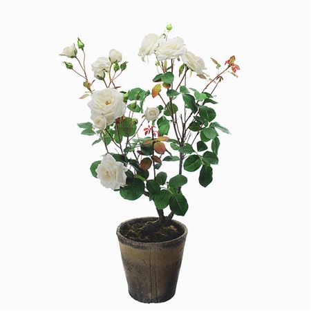 Art. Pianta Rose Con Vaso 92cm Cream