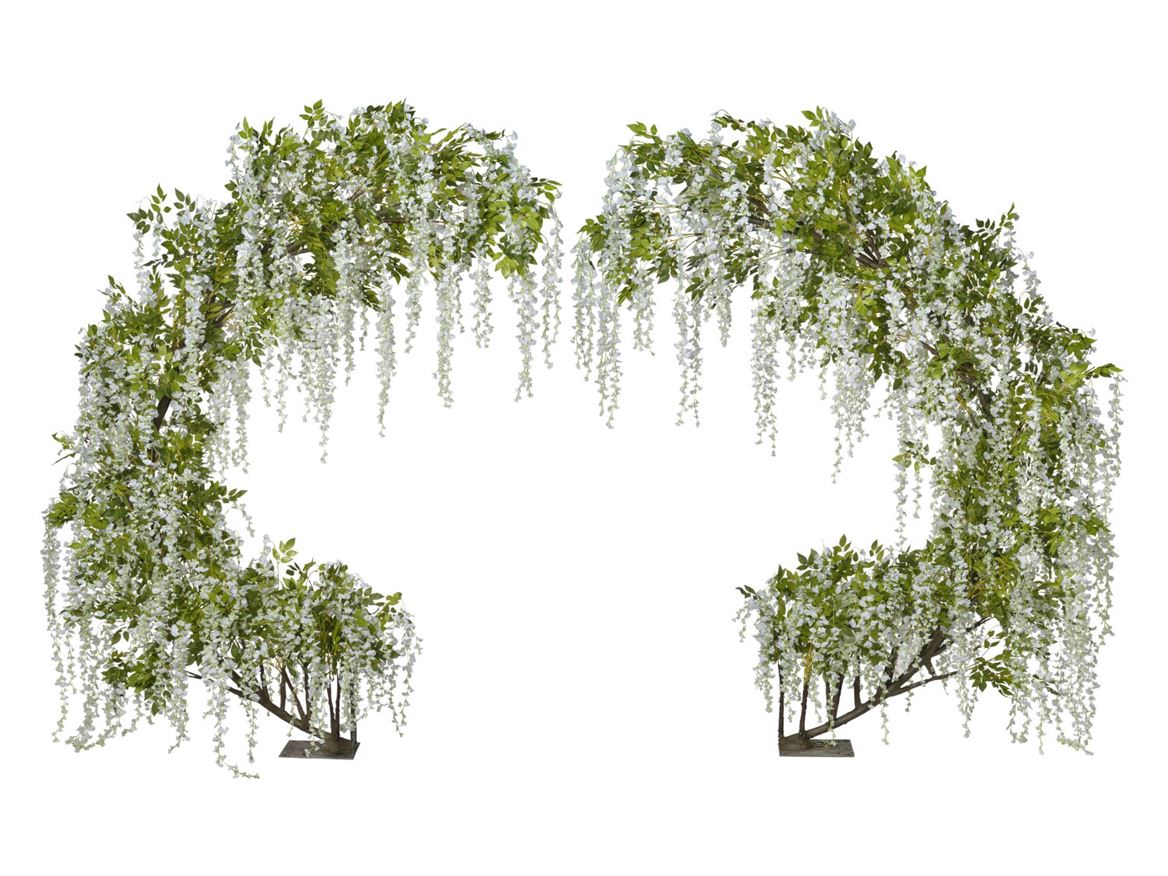 Art. Pianta Struttura Arco Glicine 3mt. S/2 Cream