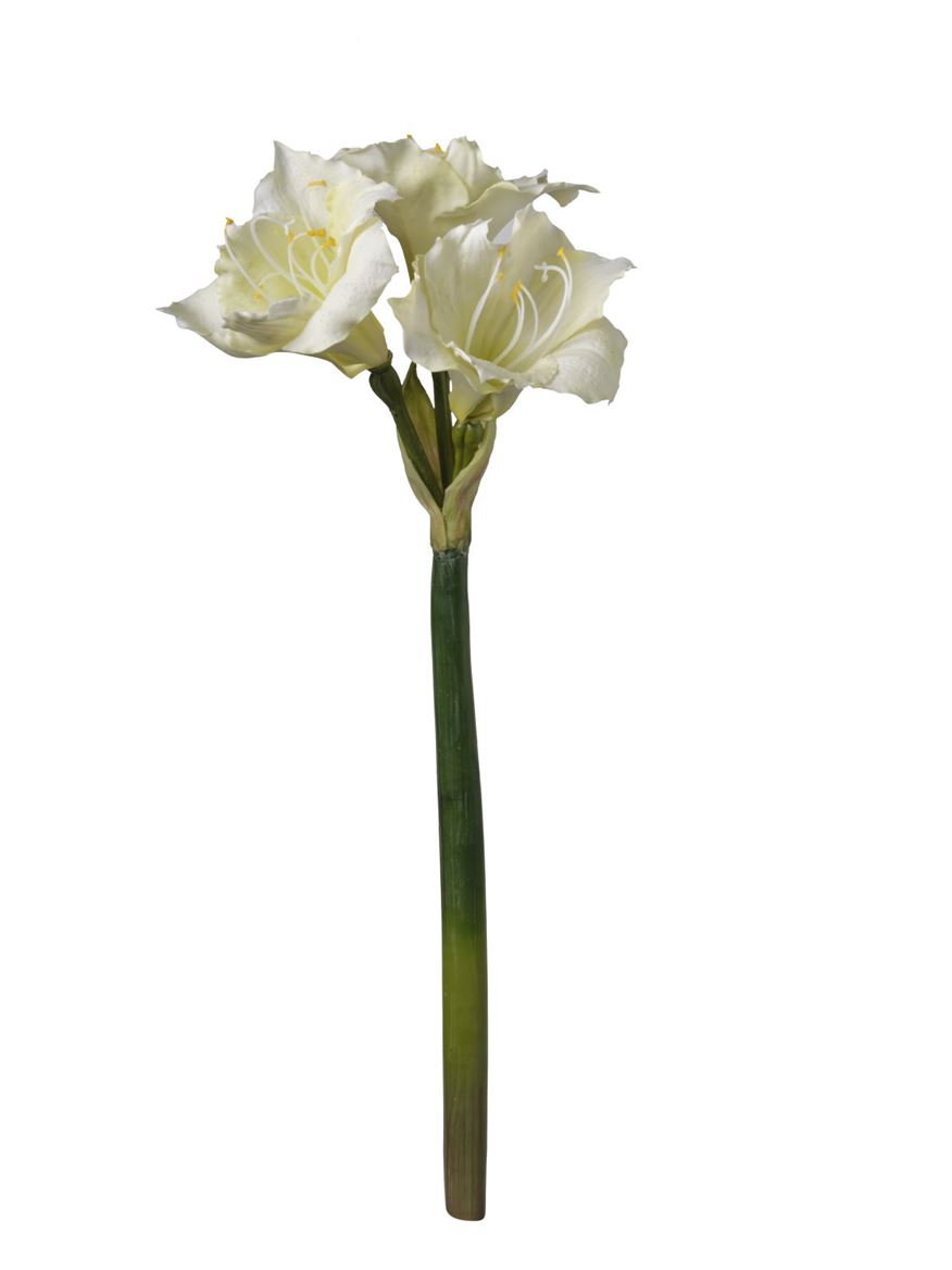 Art. Ramo Amaryllis 20x20x56cm - White