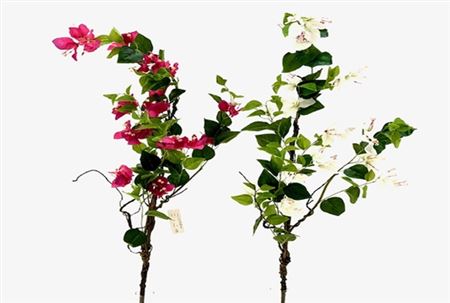 Art. Ramo Bouganvillea 127cm - White