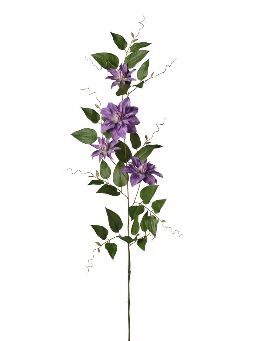 Art. Ramo Clematis 30x30x110cm - Dark Purple